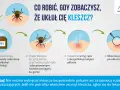 Instrukcja, jak wyciągnąć kleszcza: przygotuj pęsetę i środek dezynfekujący, chwyć kleszcza blisko skóry i pociągnij, umyj ręce i miejsce ukłucia, obserwuj.