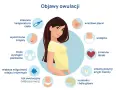 Ilustracja przedstawia objawy owulacji: zmienną temperaturę, wyostrzone zmysły, plamienie, wilgotność, ból, wrażliwe piersi, wzdęcia, zmienne libido, zmiany szyjki macicy, nudności i bóle głowy.