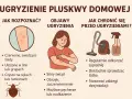 Ilustracja przedstawia ugryzienia pluskiew na skórze, kobietę drapiącą się po ręce, odkurzacz i środek dezynfekujący.