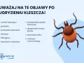 Ilustracja kleszcza z listą objawów po ugryzieniu: rumień, gorączka, zmęczenie, dreszcze, bóle głowy, bóle stawów, powiększone węzły chłonne, zmiany skórne, sztywność karku, trudności z koncentracją.