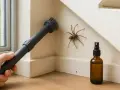 Pająk kątnik na ścianie, obok buteleczka ze sprayem i końcówka odkurzacza.