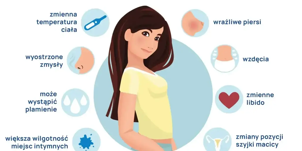 Ilustracja przedstawia objawy owulacji: zmienną temperaturę, wyostrzone zmysły, plamienie, wilgotność, ból, wrażliwe piersi, wzdęcia, zmienne libido, zmiany szyjki macicy, nudności i bóle głowy.