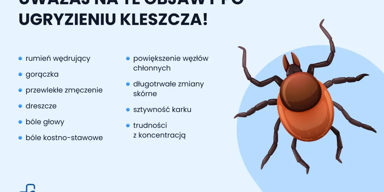 Ilustracja kleszcza z listą objawów po ugryzieniu: rumień, gorączka, zmęczenie, dreszcze, bóle głowy, bóle stawów, powiększone węzły chłonne, zmiany skórne, sztywność karku, trudności z koncentracją.