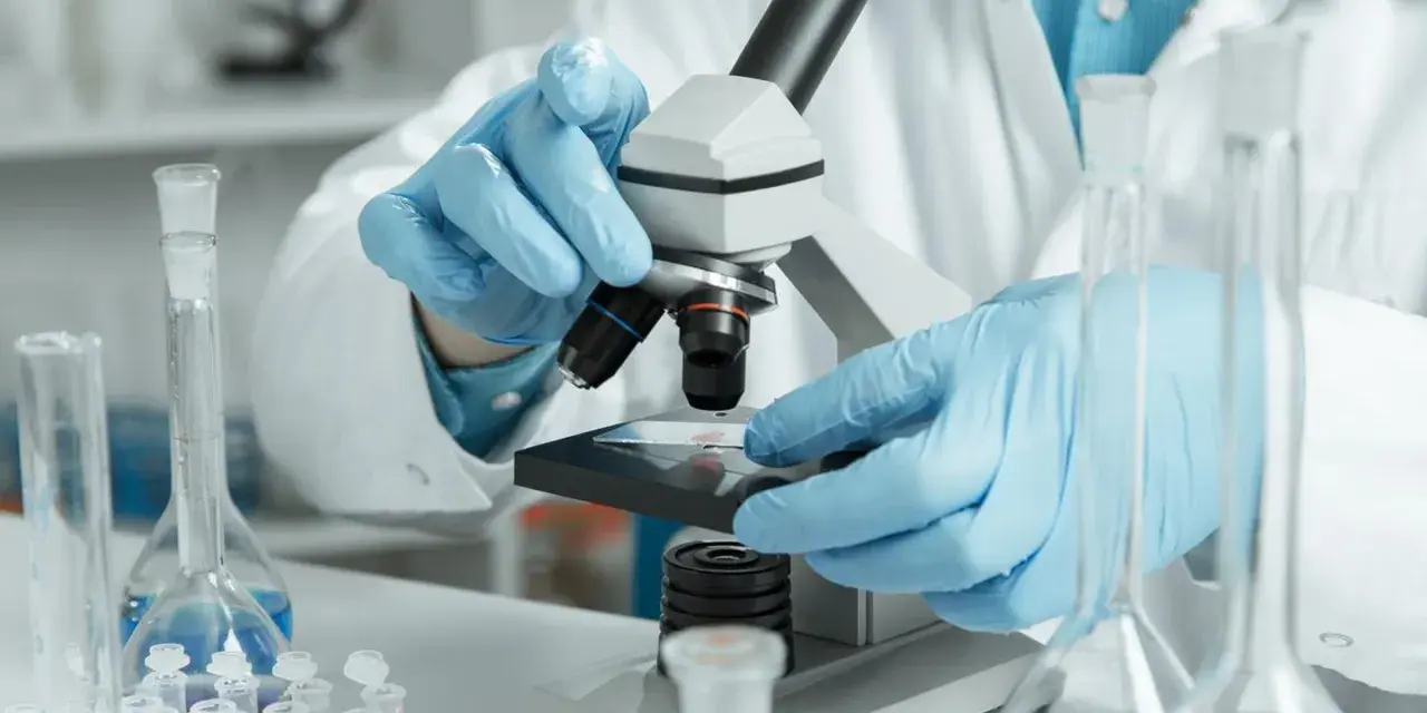 Ręce w niebieskich rękawiczkach badają próbkę pod mikroskopem w laboratorium.