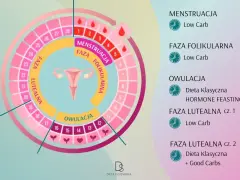 Cykl menstruacyjny: faza folikularna, owulacja i faza lutealna. Schemat cyklu z podziałem na fazy i zalecenia dietetyczne.