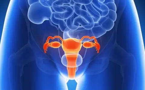 Anatomical illustration of the female reproductive system in orange against a blue background.
