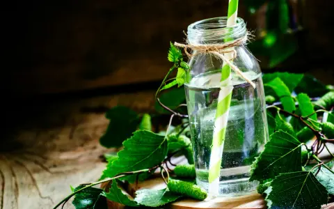 Szklana butelka z wodą i zielono-białą słomką, otoczona świeżymi liśćmi brzozy i kotkami. Napój może być naturalnym diuretykiem.