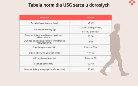 Tabela norm dla USG serca u dorosłych z sylwetką człowieka.