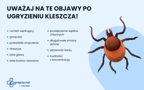 Ilustracja kleszcza z listą objawów po ugryzieniu: rumień, gorączka, zmęczenie, dreszcze, bóle głowy, bóle stawów, powiększone węzły chłonne, zmiany skórne, sztywność karku, trudności z koncentracją.