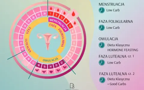 Cykl menstruacyjny: faza folikularna, owulacja i faza lutealna. Schemat cyklu z podziałem na fazy i zalecenia dietetyczne.