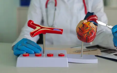 Model serca i przekrój naczynia krwionośnego z zakrzepem, prezentowane przez lekarza w białym fartuchu.