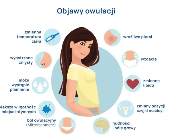 Ilustracja przedstawia objawy owulacji: zmienną temperaturę, wyostrzone zmysły, plamienie, wilgotność, ból, wrażliwe piersi, wzdęcia, zmienne libido, zmiany szyjki macicy, nudności i bóle głowy.