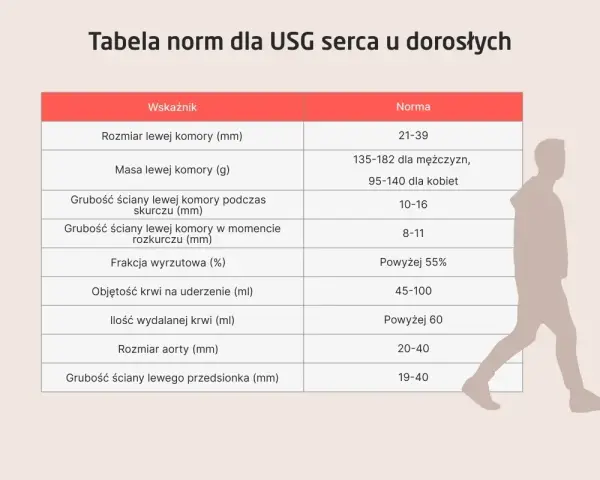 Tabela norm dla USG serca u dorosłych z sylwetką człowieka.
