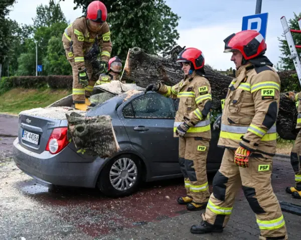 Policja, pogotowie i straż pożarna - jakie mają zadania w Polsce?