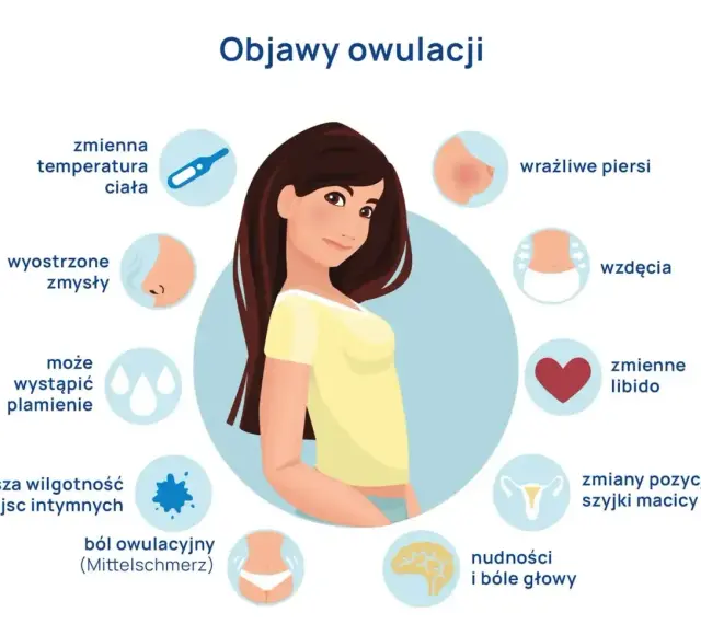 Ilustracja przedstawia objawy owulacji: zmienną temperaturę, wyostrzone zmysły, plamienie, wilgotność, ból, wrażliwe piersi, wzdęcia, zmienne libido, zmiany szyjki macicy, nudności i bóle głowy.