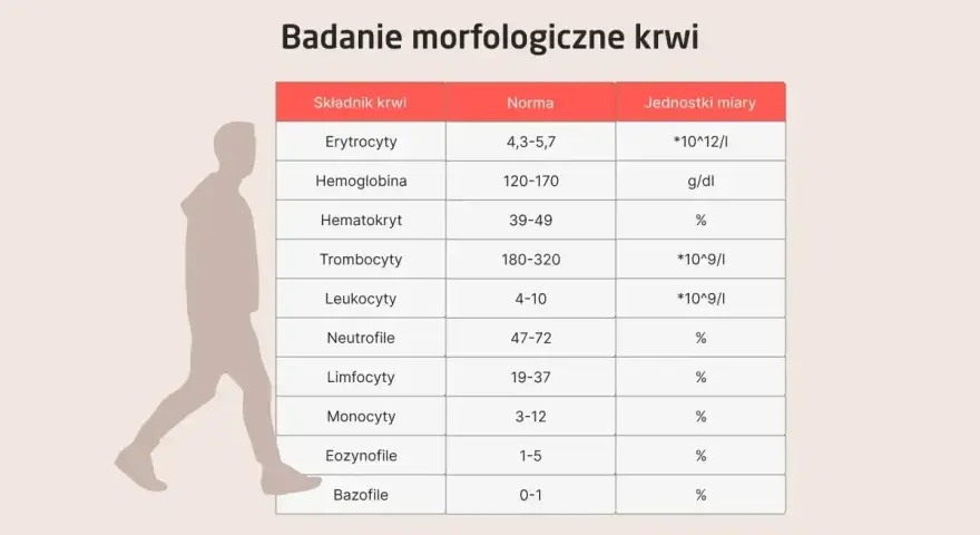 Tabela z badaniem morfologicznym krwi, pokazująca normy dla erytrocytów, hemoglobiny, hematokrytu, trombocytów, leukocytów i innych. Płytki krwi norma to 180-320.
