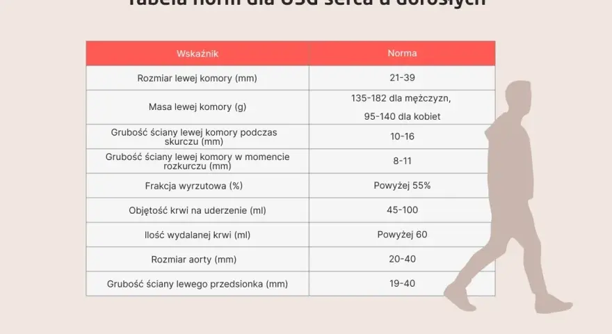Tabela norm dla USG serca u dorosłych z sylwetką człowieka.