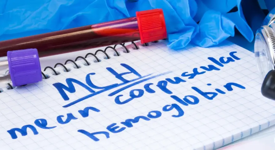 Probówka z krwią, notatnik z napisem "MCH mean corpuscular hemoglobin" i rękawiczki medyczne.