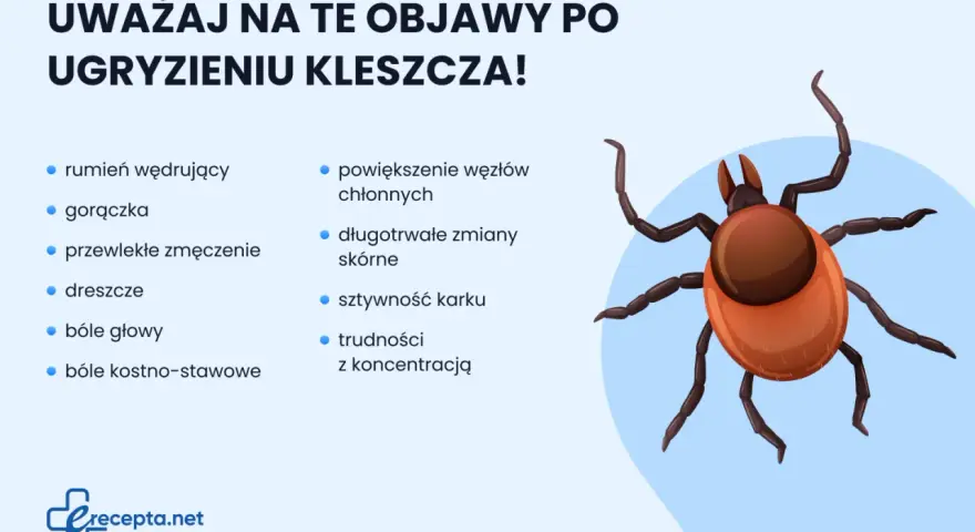 Ilustracja kleszcza z listą objawów po ugryzieniu: rumień, gorączka, zmęczenie, dreszcze, bóle głowy, bóle stawów, powiększone węzły chłonne, zmiany skórne, sztywność karku, trudności z koncentracją.