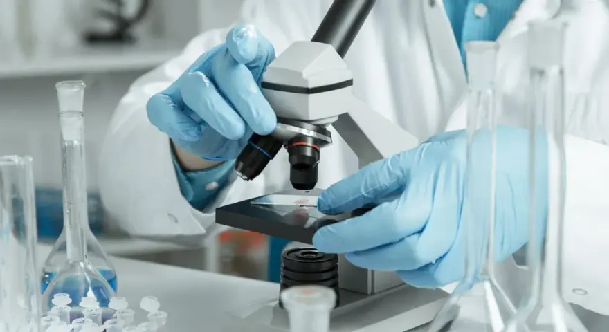 Ręce w niebieskich rękawiczkach badają próbkę pod mikroskopem w laboratorium.