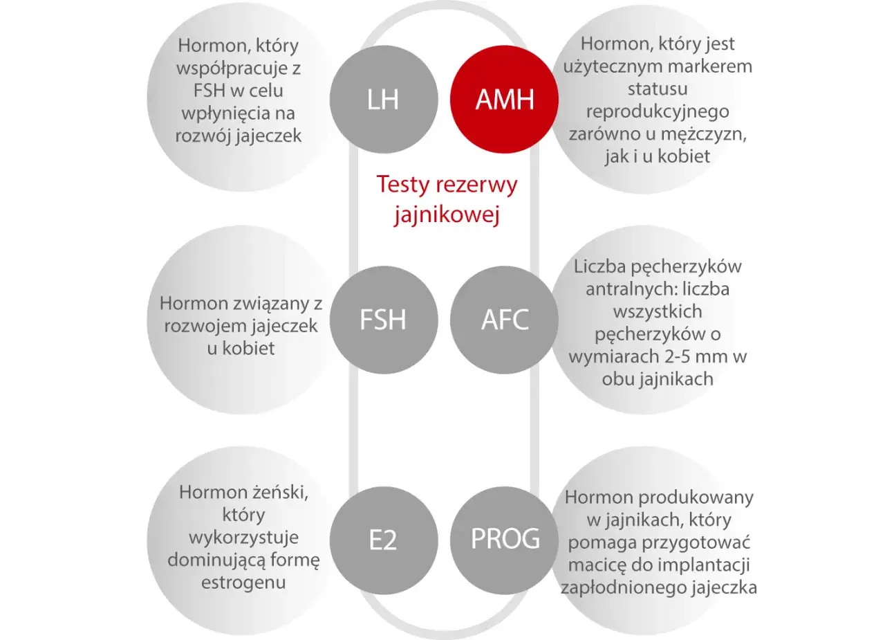 AMH badanie: hormon marker reprodukcyjny. Schemat testów rezerwy jajnikowej, z hormonami LH, FSH, E2, PROG i AFC.