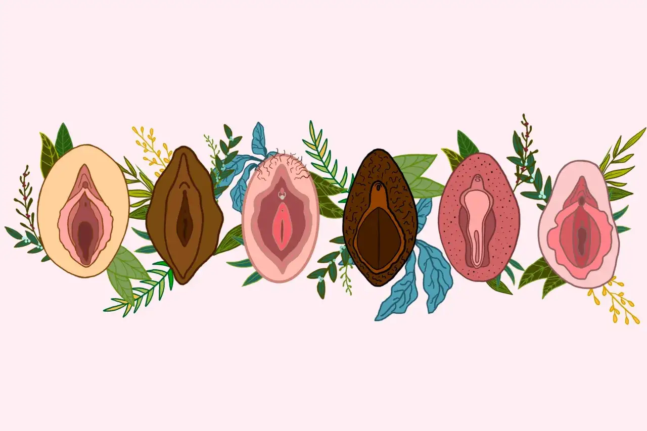 Ilustracja przedstawia siedem różnych wulw otoczonych liśćmi i gałązkami. Różnorodność kształtów i kolorów podkreśla piękno kobiecego ciała, a także możliwości, jakie daje labioplastyka.
