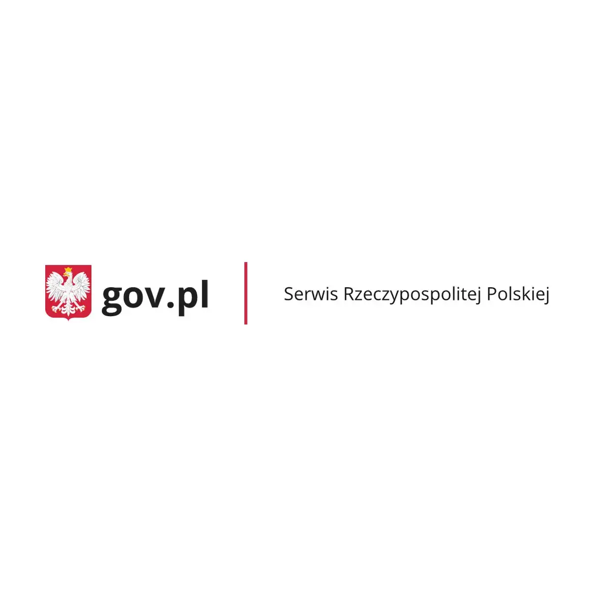 Zdjęcie Kto może szkolić z pierwszej pomocy? Sprawdź, jakie mają kwalifikacje
